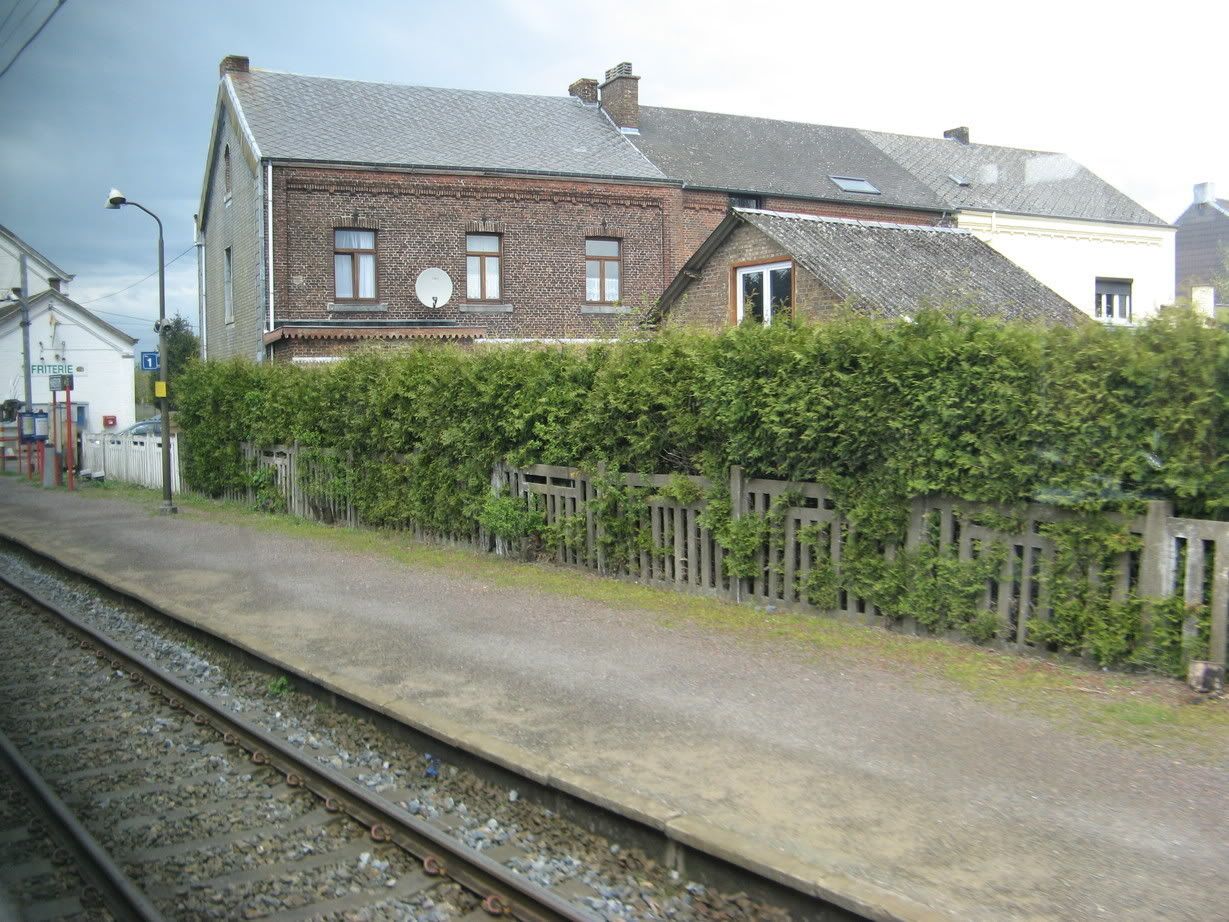 Afbeelding