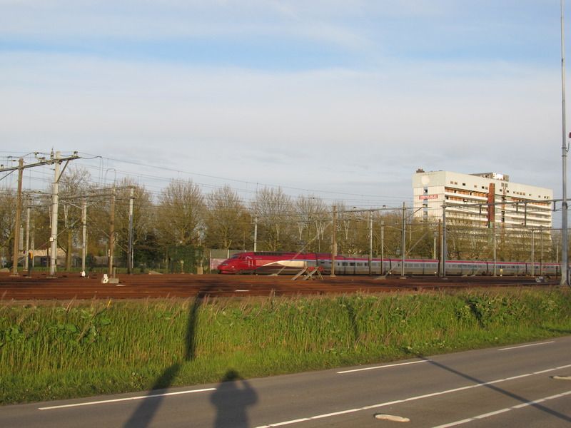 Afbeelding